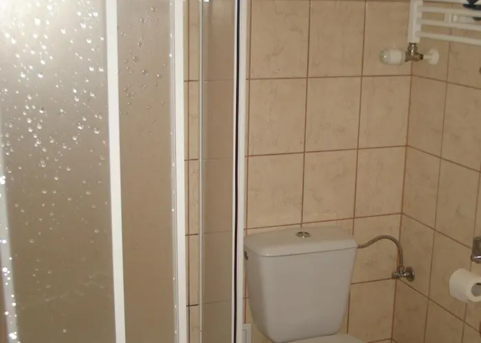 Grazyna 德兹维济诺