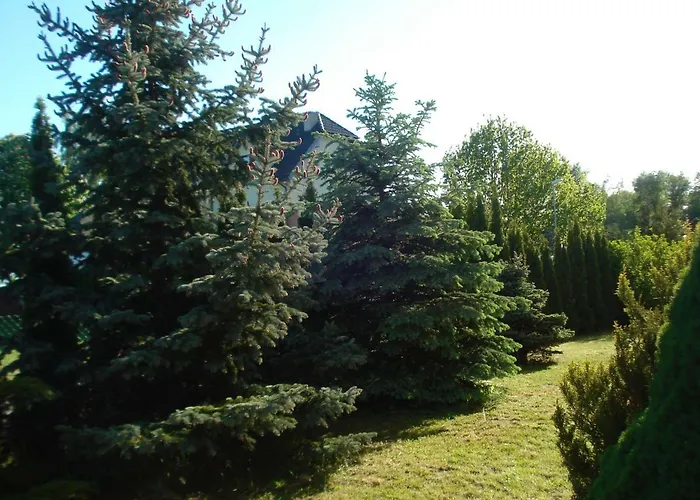 Grazyna * Dźwirzyno