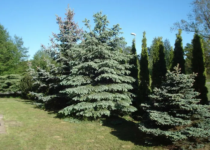 Grazyna Privat bolig *