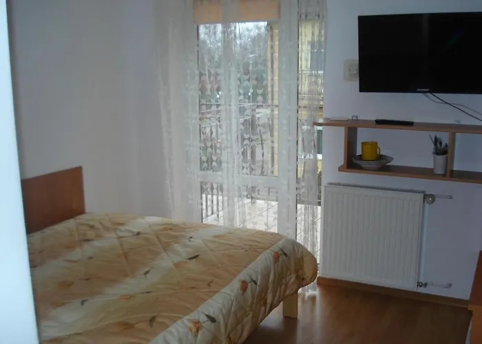 Grazyna 德兹维济诺