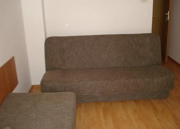 Grazyna 德兹维济诺