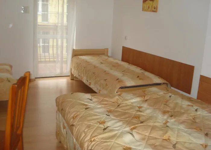 Grazyna 德兹维济诺