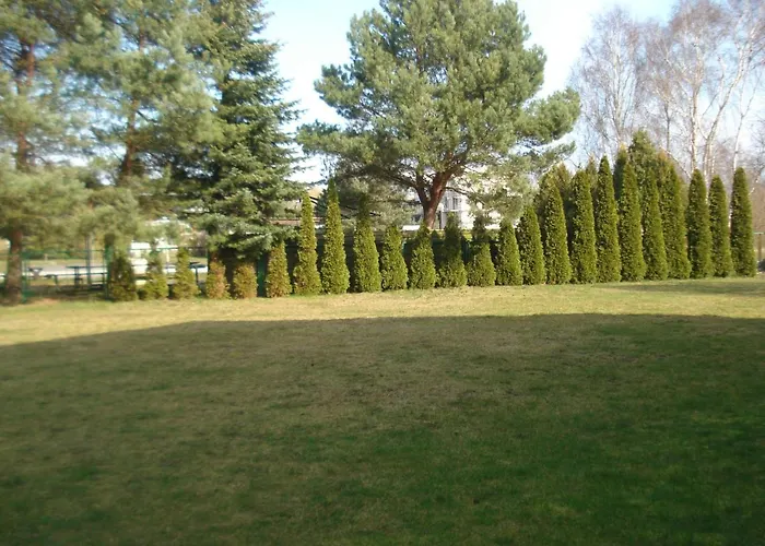 Grazyna * 德兹维济诺